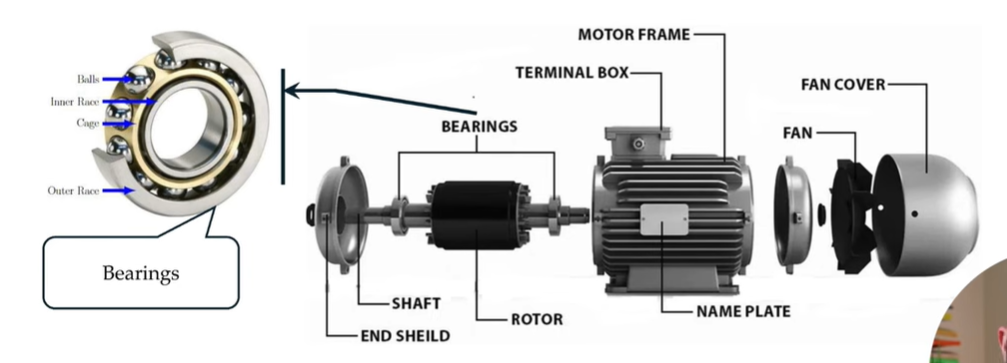 Bearing Failure in Induction Motors